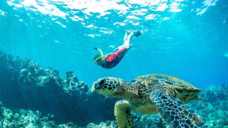 Maui: Cruise With Snorkeling and Barbecue Lunch