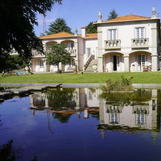 Best Shopping Tours In Norte Region