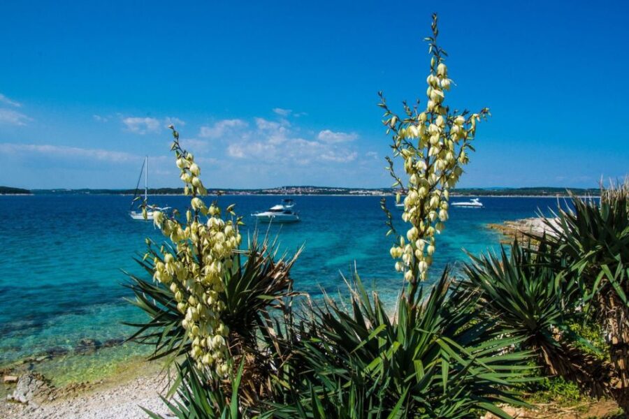 Medulin: Boat Cruise to Kamenjak/Ceja With Lunch and Drinks
