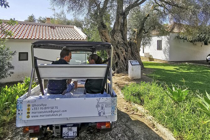 Meet Santa Luzia / Capital of Octopus / Salinas in a 100% Electric Tuk Tuk - Tour Overview