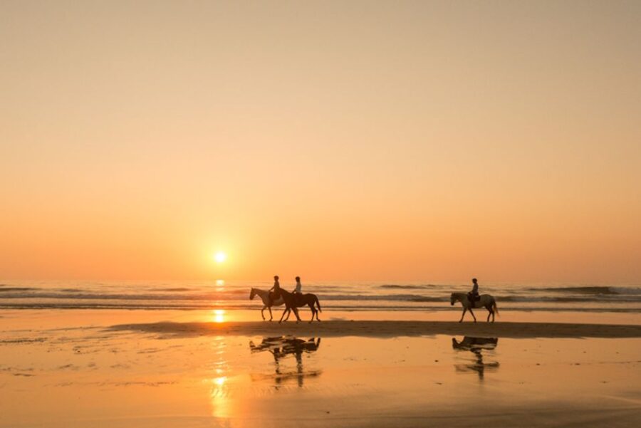 Melides: Horse Riding on the Beach With Wine Tasting - Activity Overview