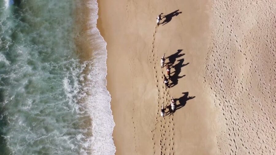 Melides: Horseback Riding on Melides Beach