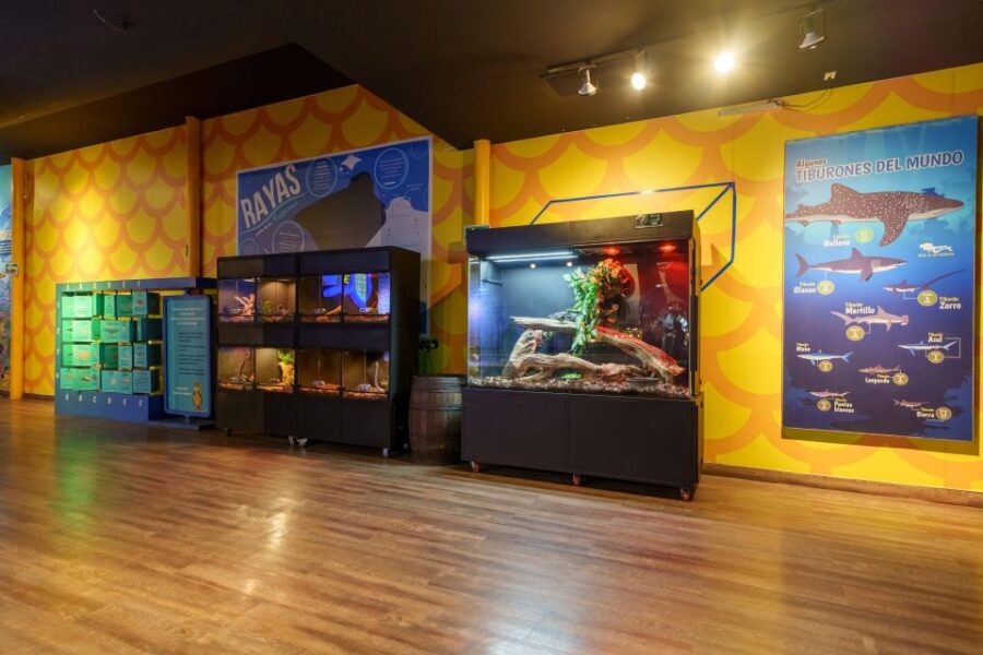 Mexico City: Inbursa Aquarium Ticket With VR Option