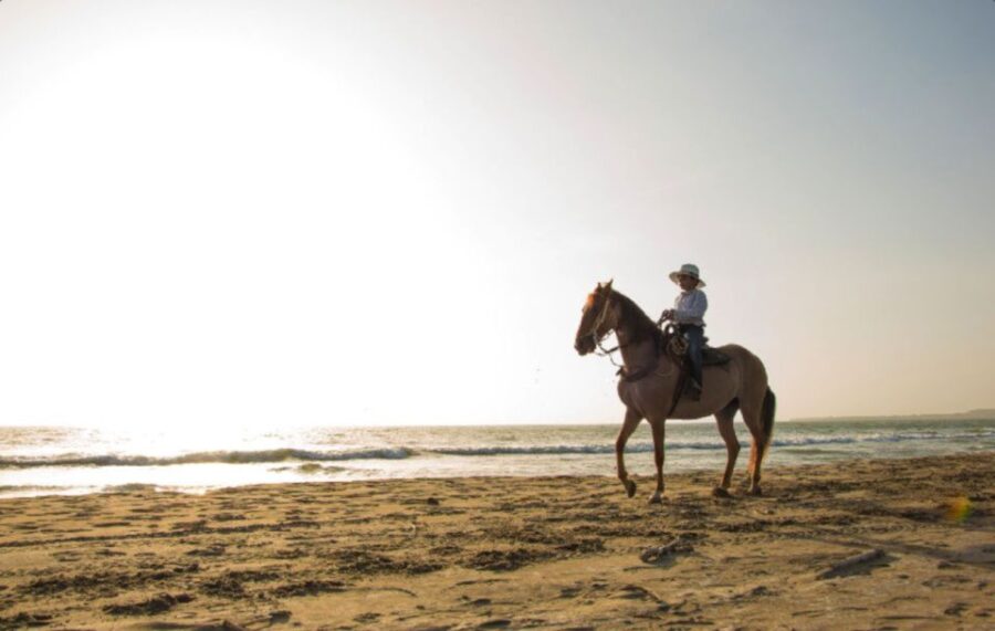Miami: Beach Horse Ride & Nature Trail - Activity Overview