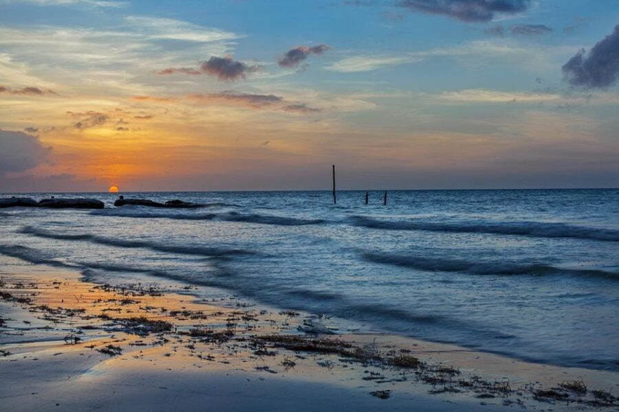 Midnight Holbox: Bioluminescence Kayaking Experience - Activity Overview