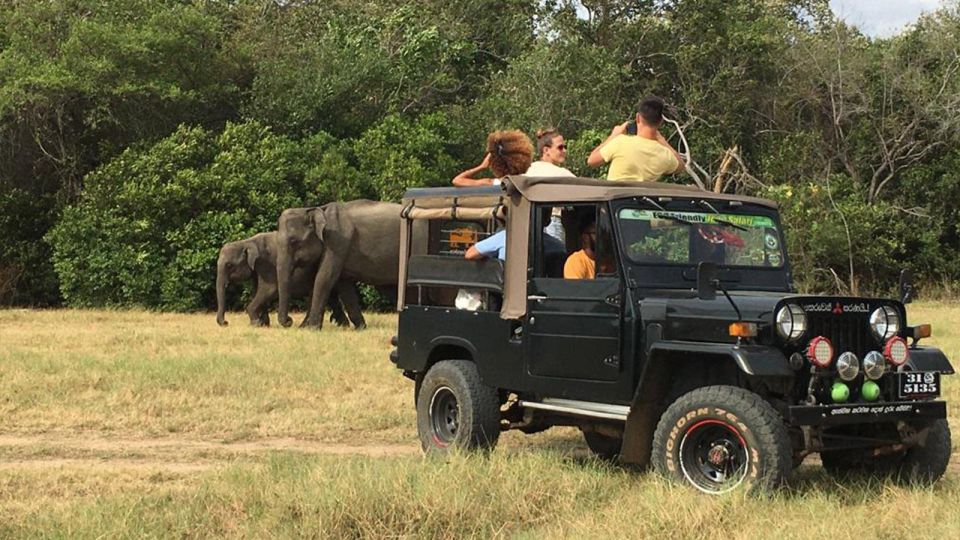 Minneriya: Wild Safari and Polonnaruwa Sightseeing Day Tour