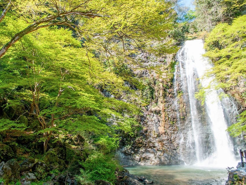 Minoo Park: Guided Nature Walk