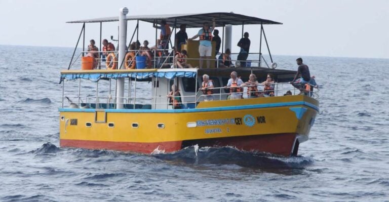 Mirissa Whale Watching Experience With Seafood Lunch