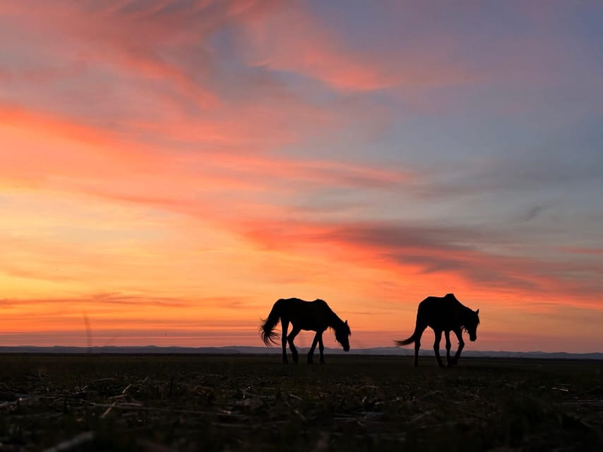 Mongolia: Horse Riding Camp-Grassland Crossing|Customizable