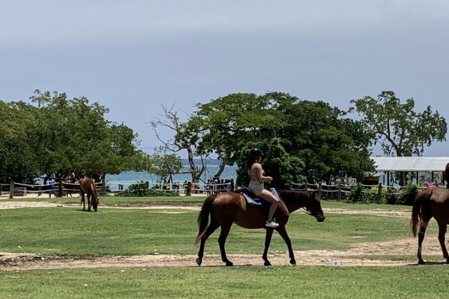 Montego Bay: Day Trip With Zipline, Atv, and Horseback Ride - Overview of the Day Trip