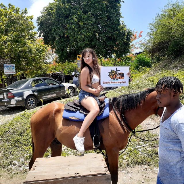 Montego Bay: Horseback Ride and Swim With Secret River Tour
