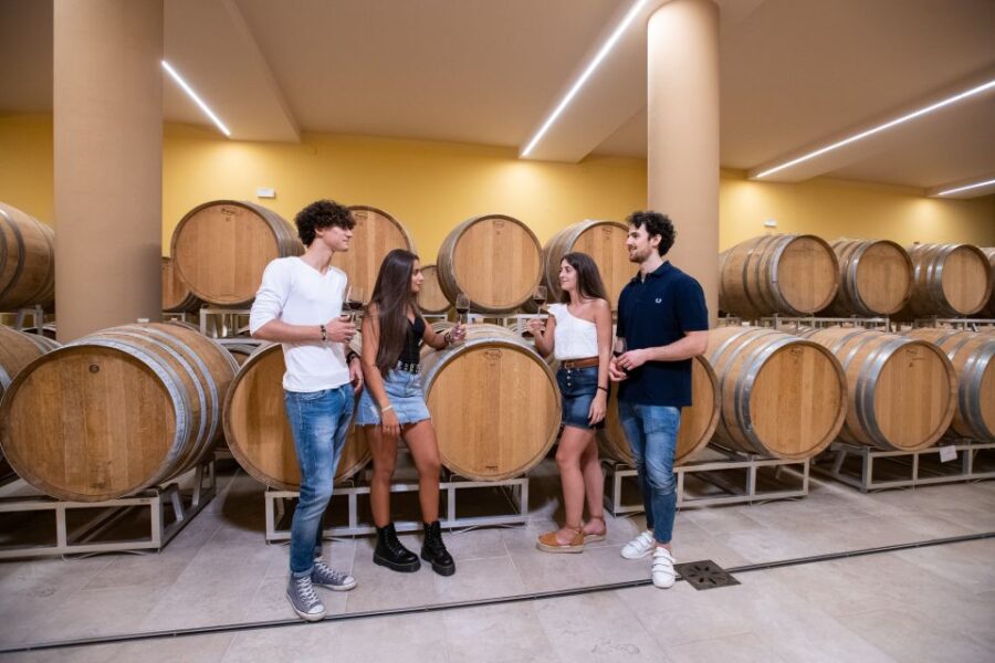 Montepulciano: Guided Wine Tasting Tour With Lunch