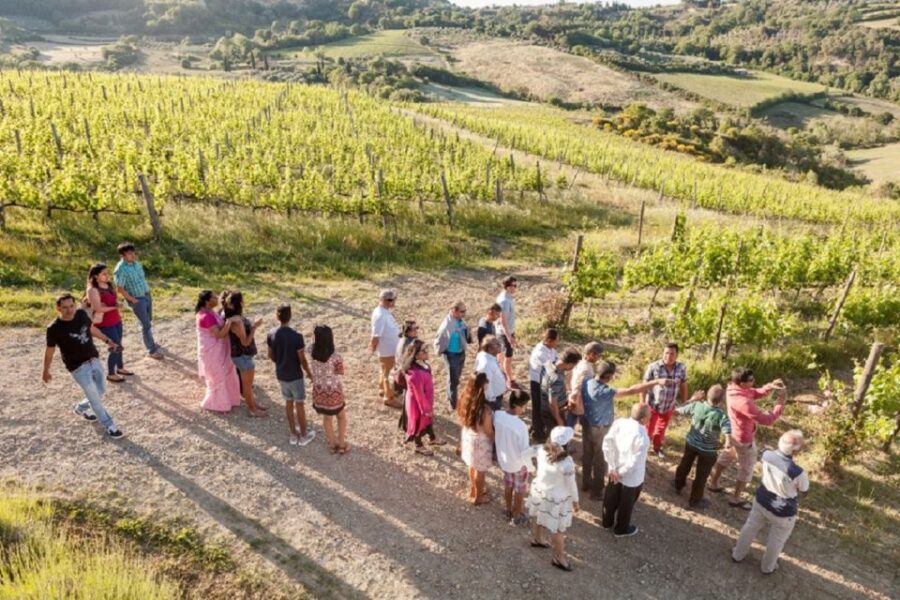Montepulciano: Vino Nobile Wine Tour — Meet the Producers