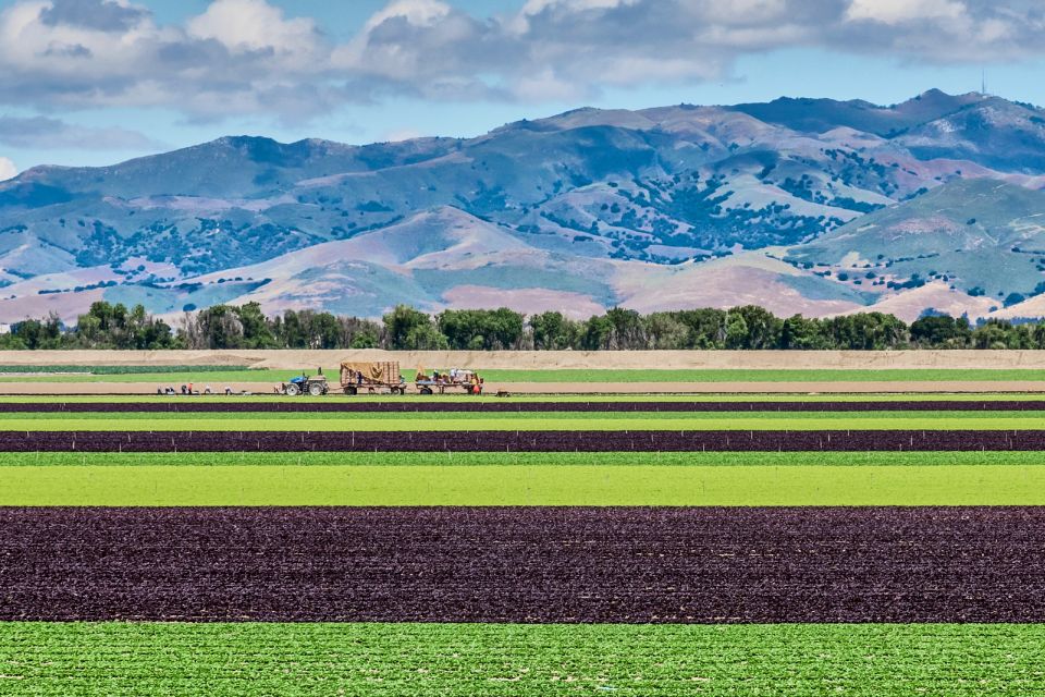 Monterey County Salinas Valley Farm Tour - Tour Overview and Details