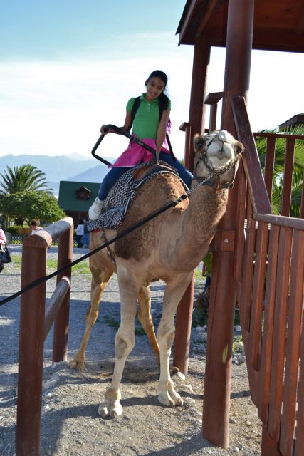 Monterrey: Zoological Adventure at Xenpal
