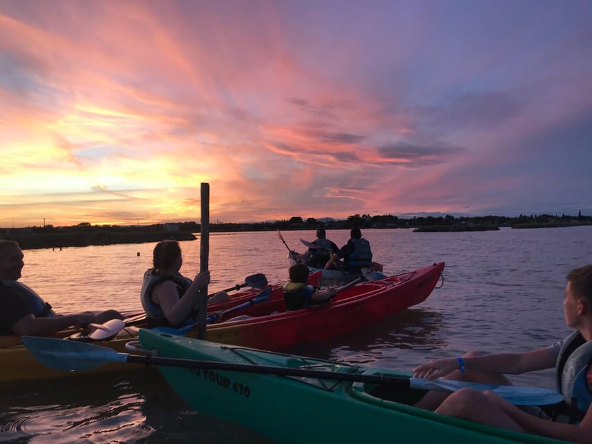 Montpellier: Birdwatching by Kayak in Camargue