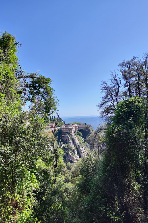 Montserrat Half Day Early Morning Skip-the-Hussle Tour - Pricing
