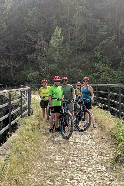 4 Best Tours In Motovun