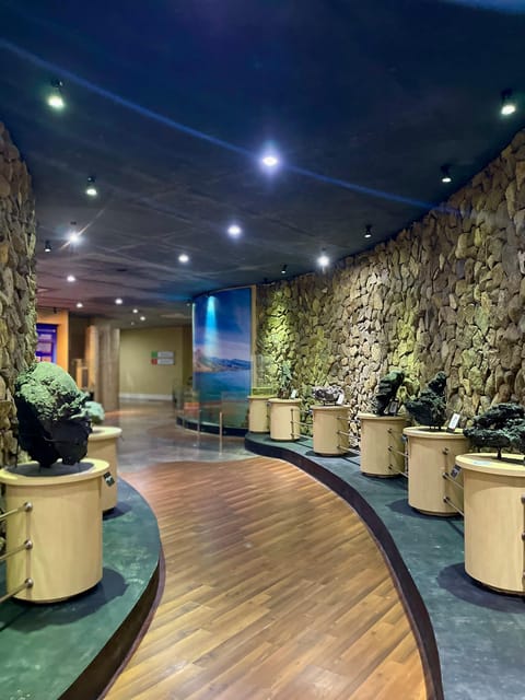 Mount Batur Summit Seekers Hiking Tour With Geopark Museum - Tour Overview and Pricing