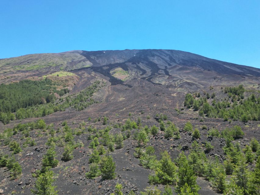 Mount Etna: All Around on E-Bike - Experience and Pricing
