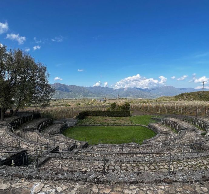 Mount Etna: Tasting and Winery Tour
