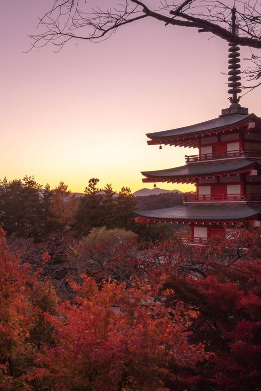Mount Fuji 1-Day Trip: the Hottest Photography Tour