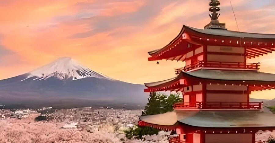 Mount Fuji and Hakone Private Sightseeing Tour