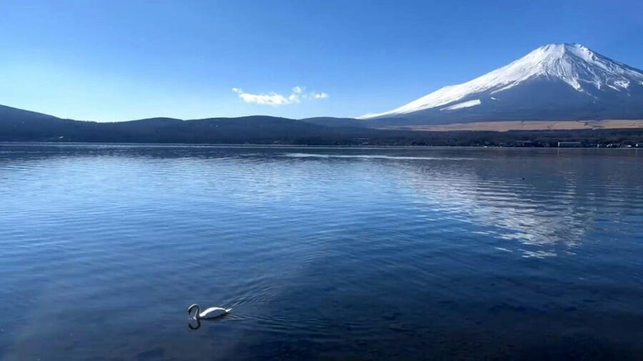 Mount Fuji and Hakone Private Tour English Speaking Driver - Tour Overview
