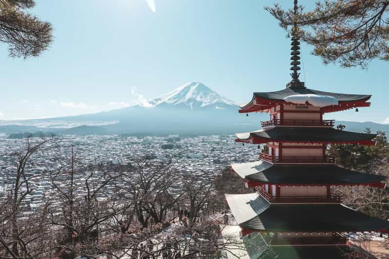 Mount Fuji Best Sightseeing Private Tour With Guide