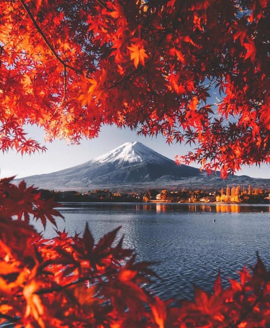 Mount Fuji Customizable Day Tour With English Guide
