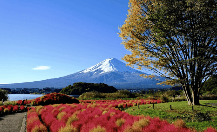 Mount Fuji Full Day Private Tour With Pick-Up and Drop off - Tour Details