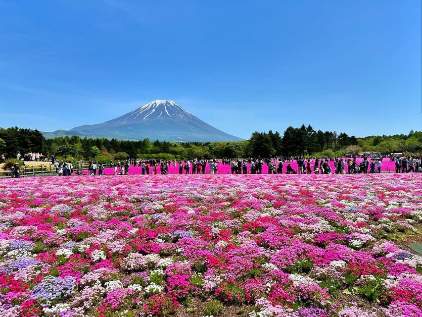 4 Best Full-Day Tours In Fujikawaguchiko