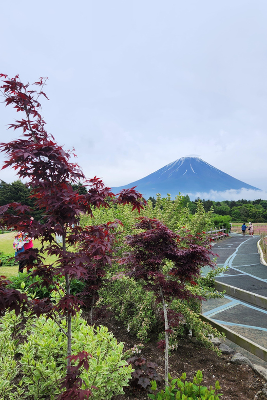 Mount Fuji One Day Private Tour by Car With English Driver