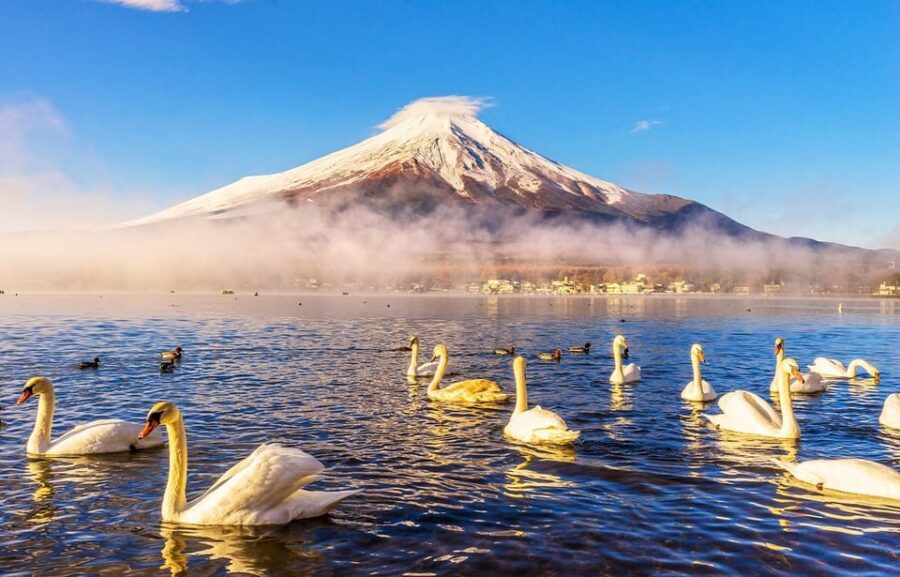 Mount Fuji: Oshino Hakkai, Hakone, Owakudani Cable Car Day Trip