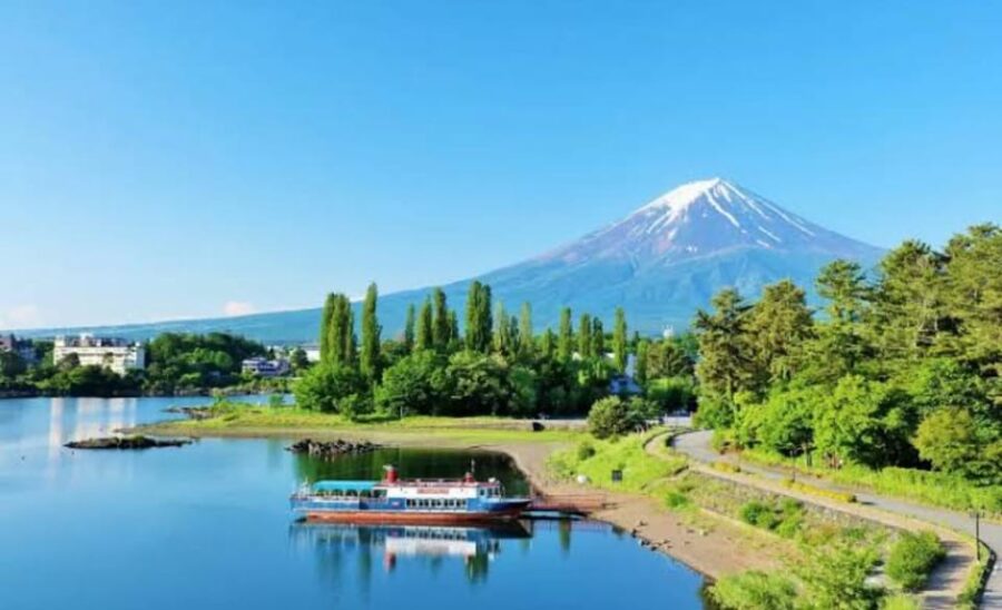 Mount Fuji Private Day Trip Tours