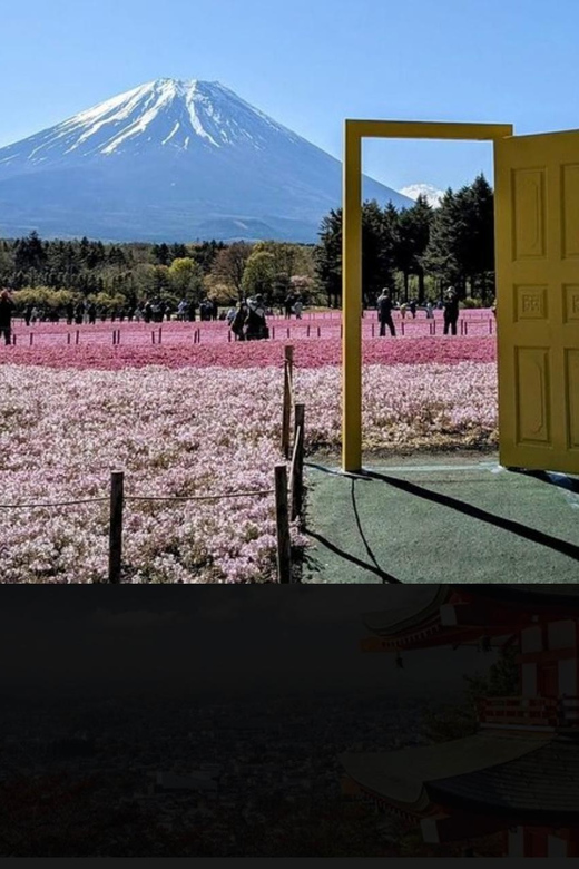Mount Fuji Sightseeing Private Tour English Speaking Guide