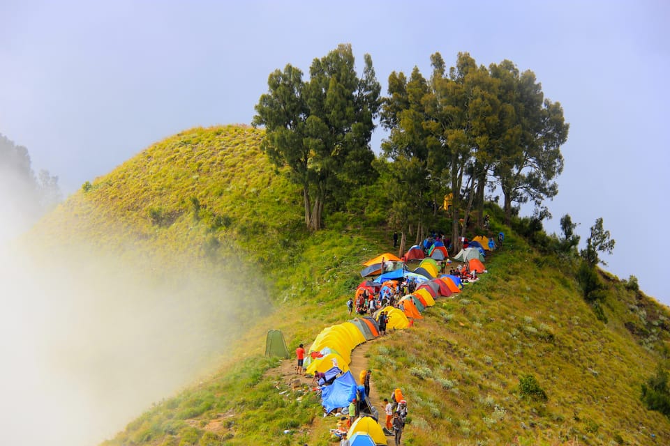 Mount Rinjani: 3-Day Trek to Summit, Lake and Hot Spring - Overview and Pricing