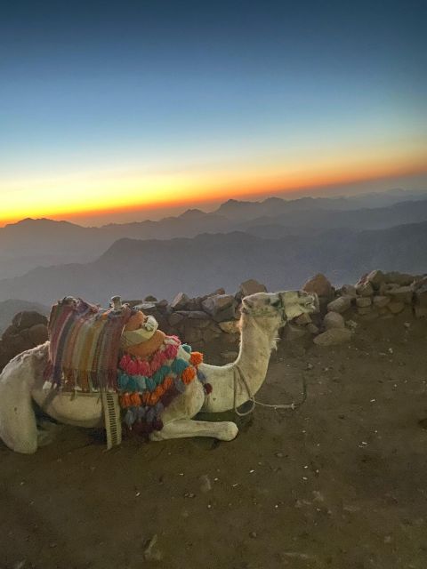 Mount Sinai Hiking Trip - Trip Overview