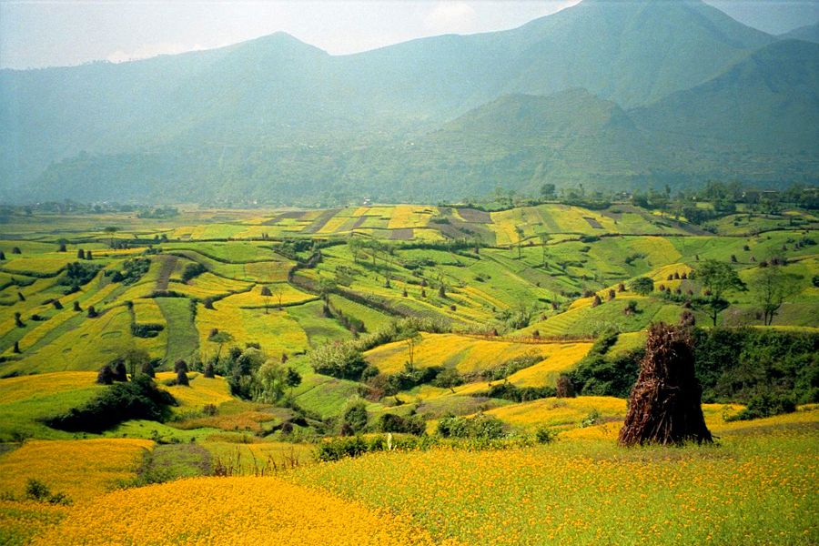 Mountain Biking in Kathmandu Day Tour - Tour Overview and Pricing