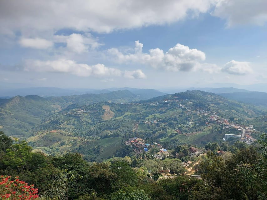 Mountains Discovery:Doi Mae Salong & Doi Tung (Private Tour) - Tour Overview