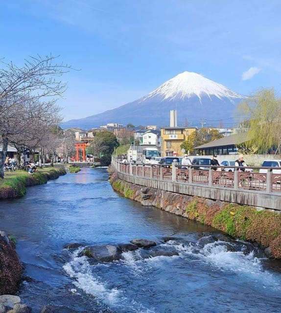 Mt Fuji and Hakone Private Tour With English Speaking Driver