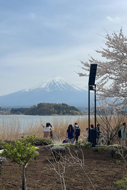 Mt. Fuji One Day Private Tour by Car With English Driver
