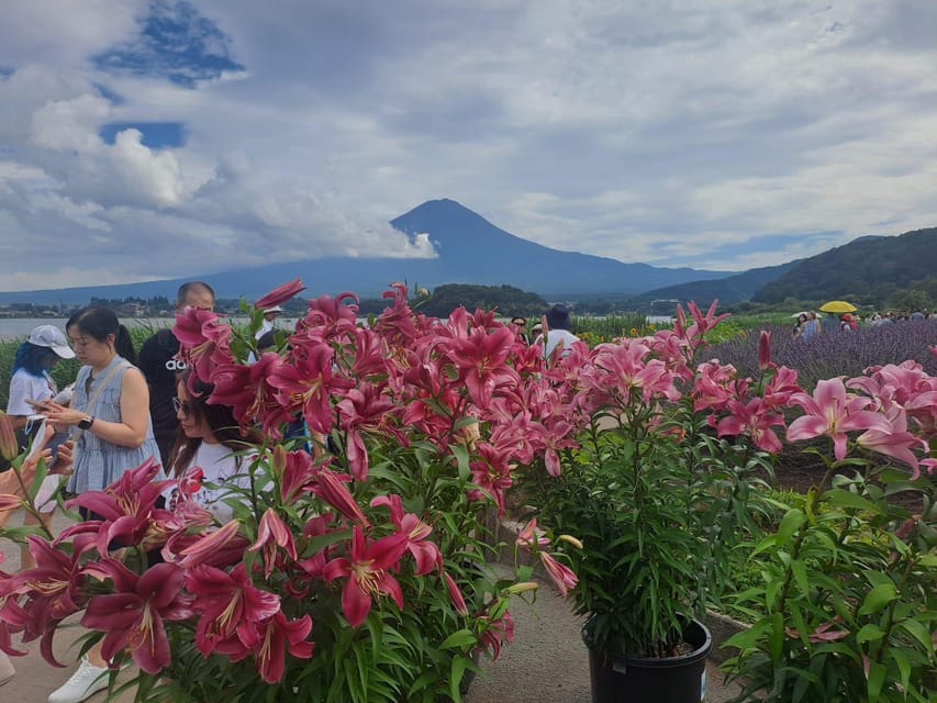 Mt. Fuji: Private Tour With English Guide