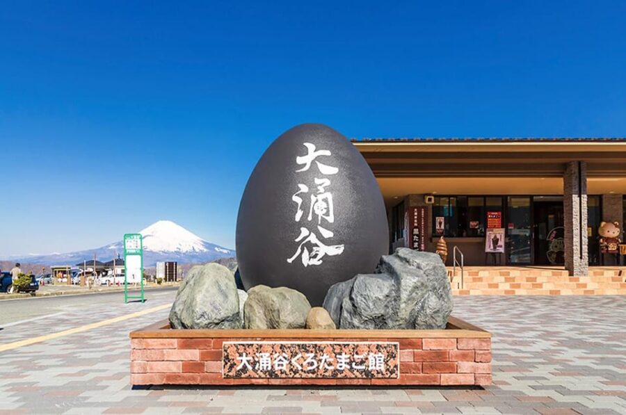 Mt.Fuji:Hakone Cruise, Ropeway&Oshino Hakkai Full-day Tour