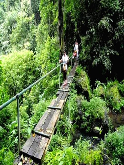 2 Best Hiking And Trekking Tours In Munduk