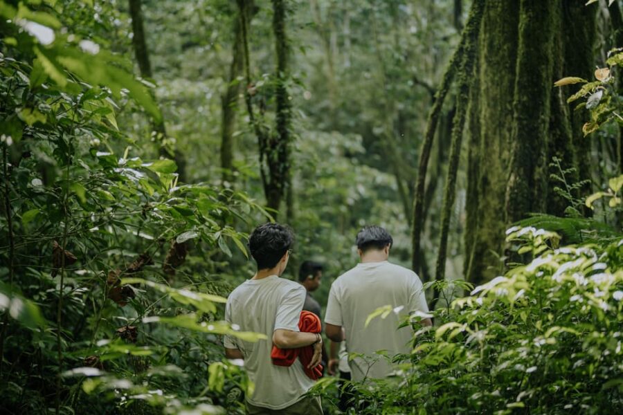 Munduk: Trekking & Canoeing at Mystical Lake Tamblingan - Overview and Pricing
