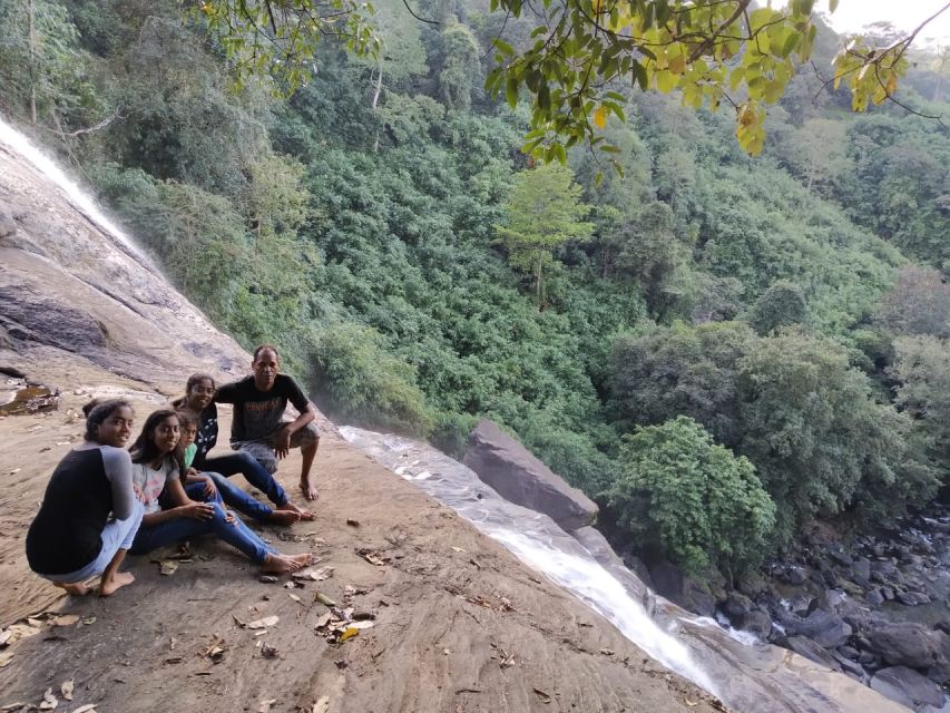 Munnar: Tea Garden and Elephant Safari Trip by 4x4