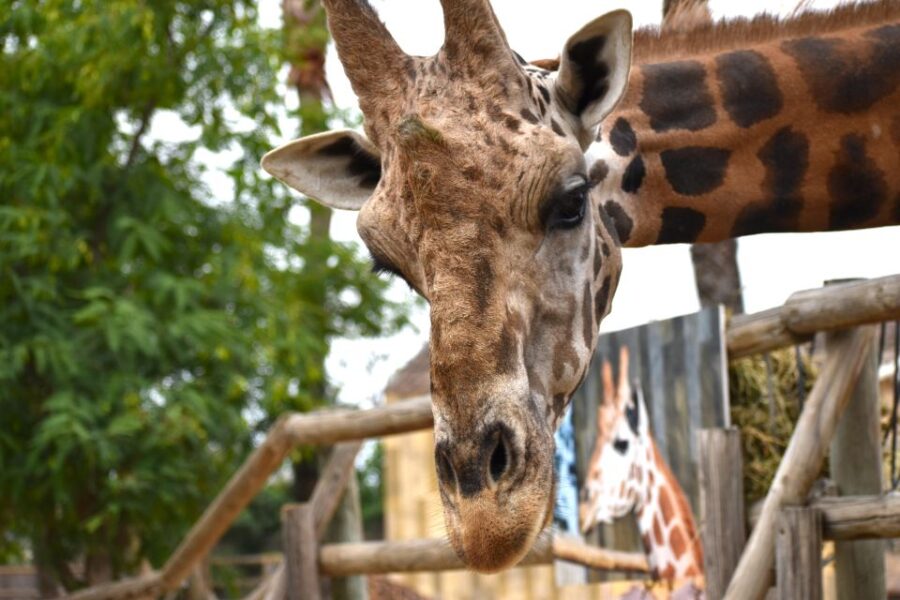 Murcia: Terra Natura Murcia Ticket Entry