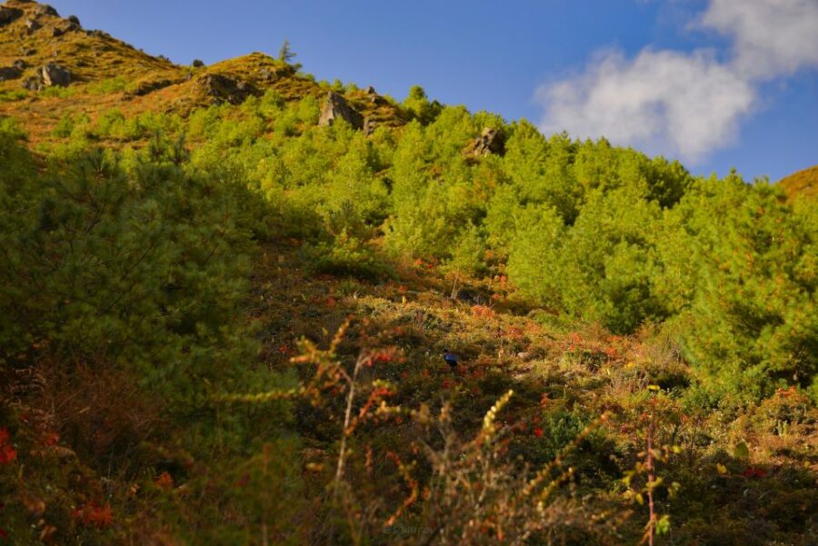 Nagarjung Day Hiking