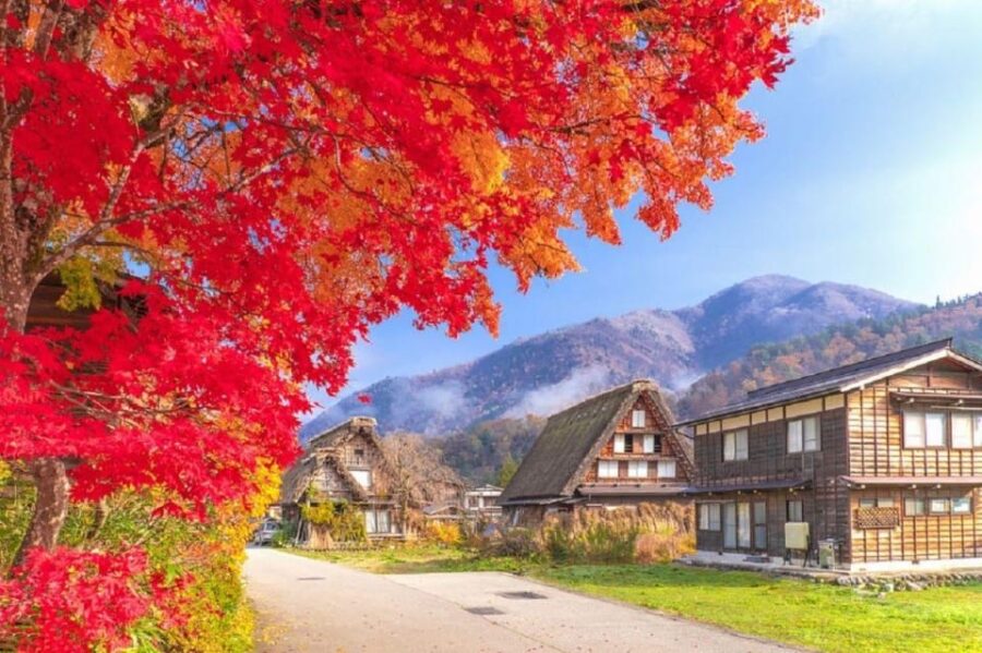 Nagoya Shirakawa-go Village and Takayama One Day Trip - Tour Details